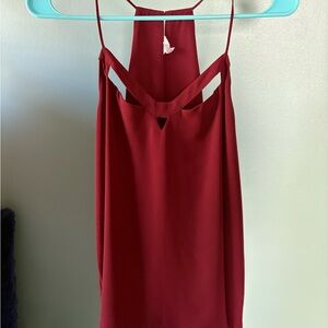 Express Burgundy Blouse